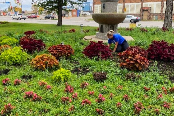 blue-zones-community A Blue Zones volunteer works on their hands and knees, tending to the colorful flower bed at Skidmore Park.