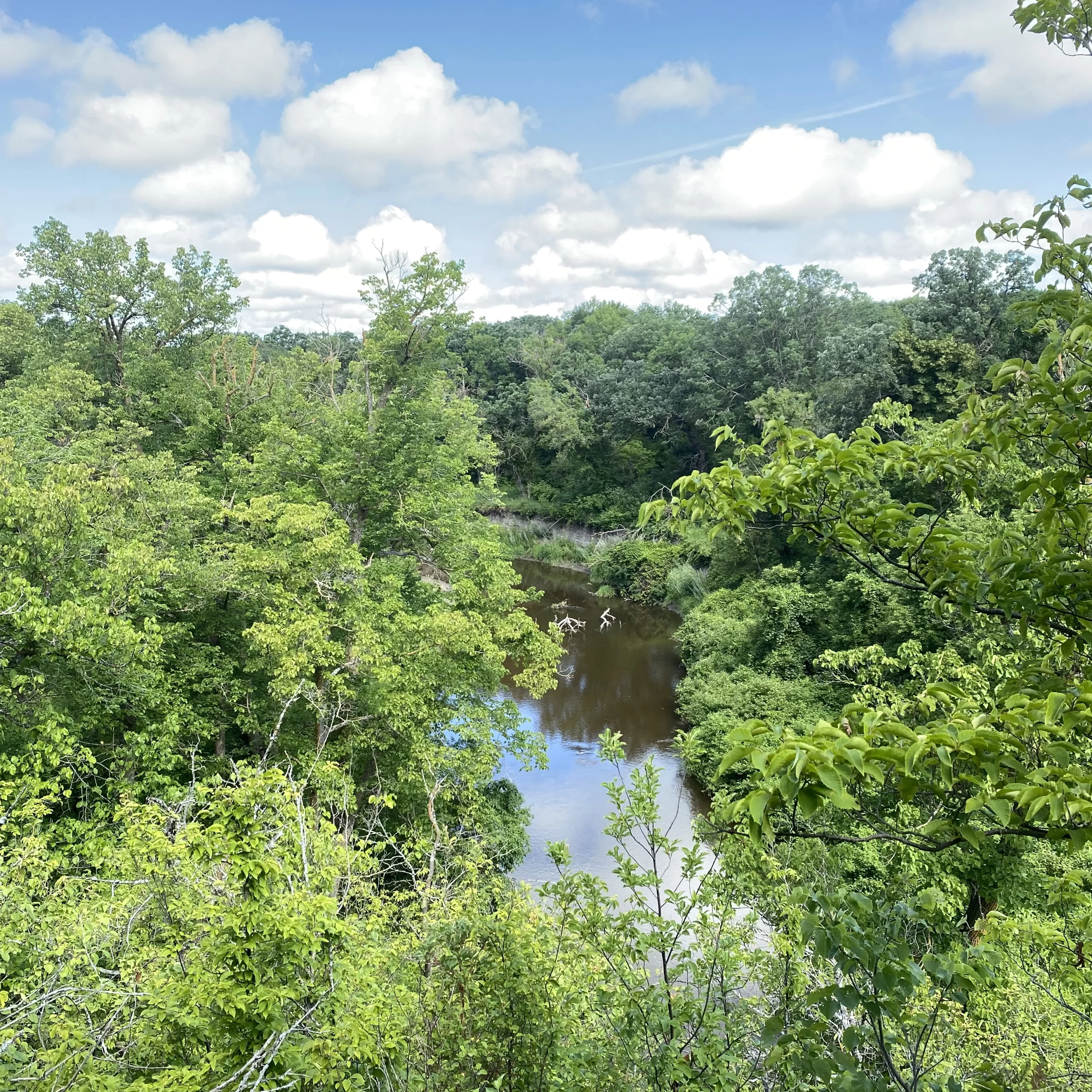 turtle-river-scenic-view Scenic view of Turtle River State Park