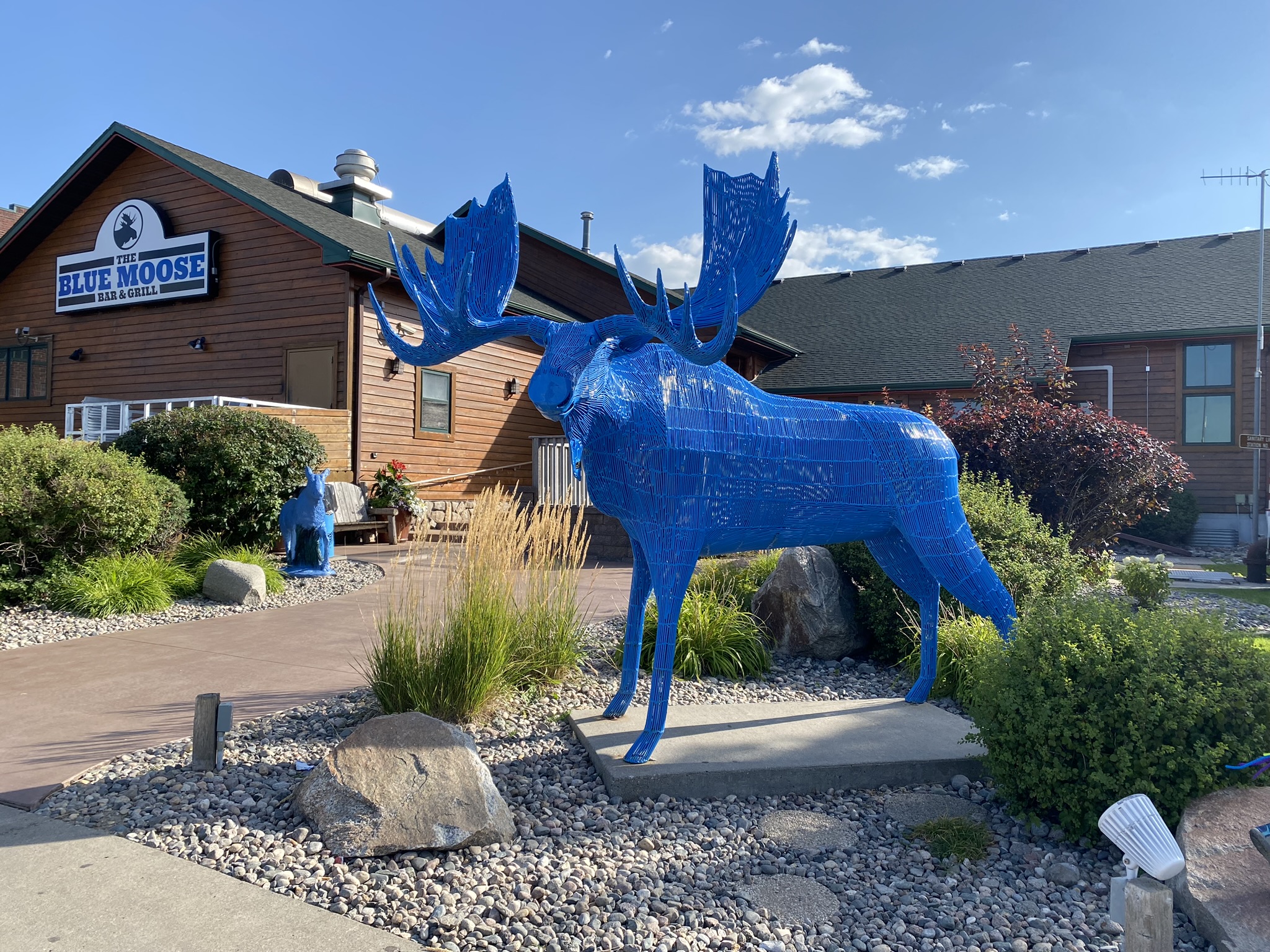 Blue Moose building