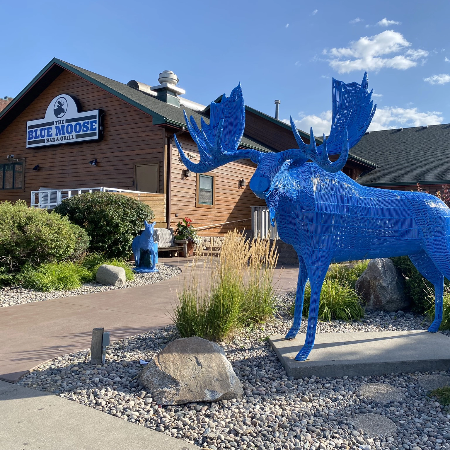 blue-moose-egf Blue Moose in East Grand Forks