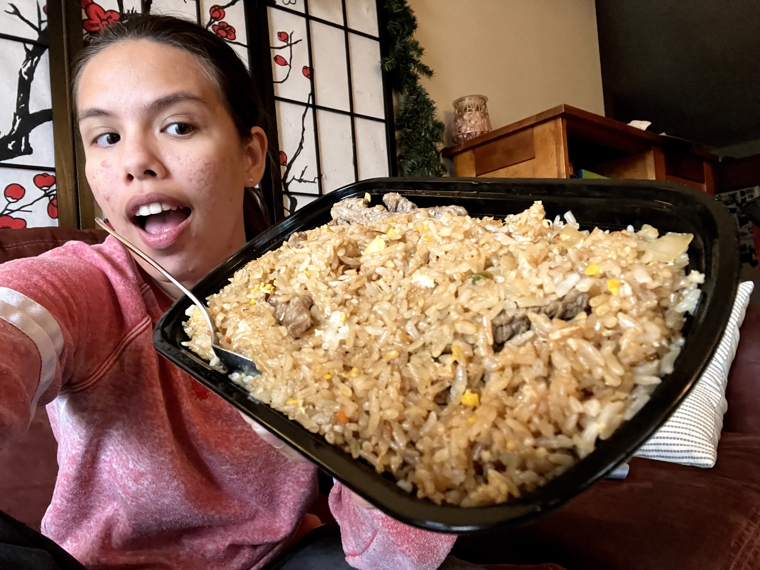 Fuji-Grand-Forks Gon with fried rice in Grand Forks