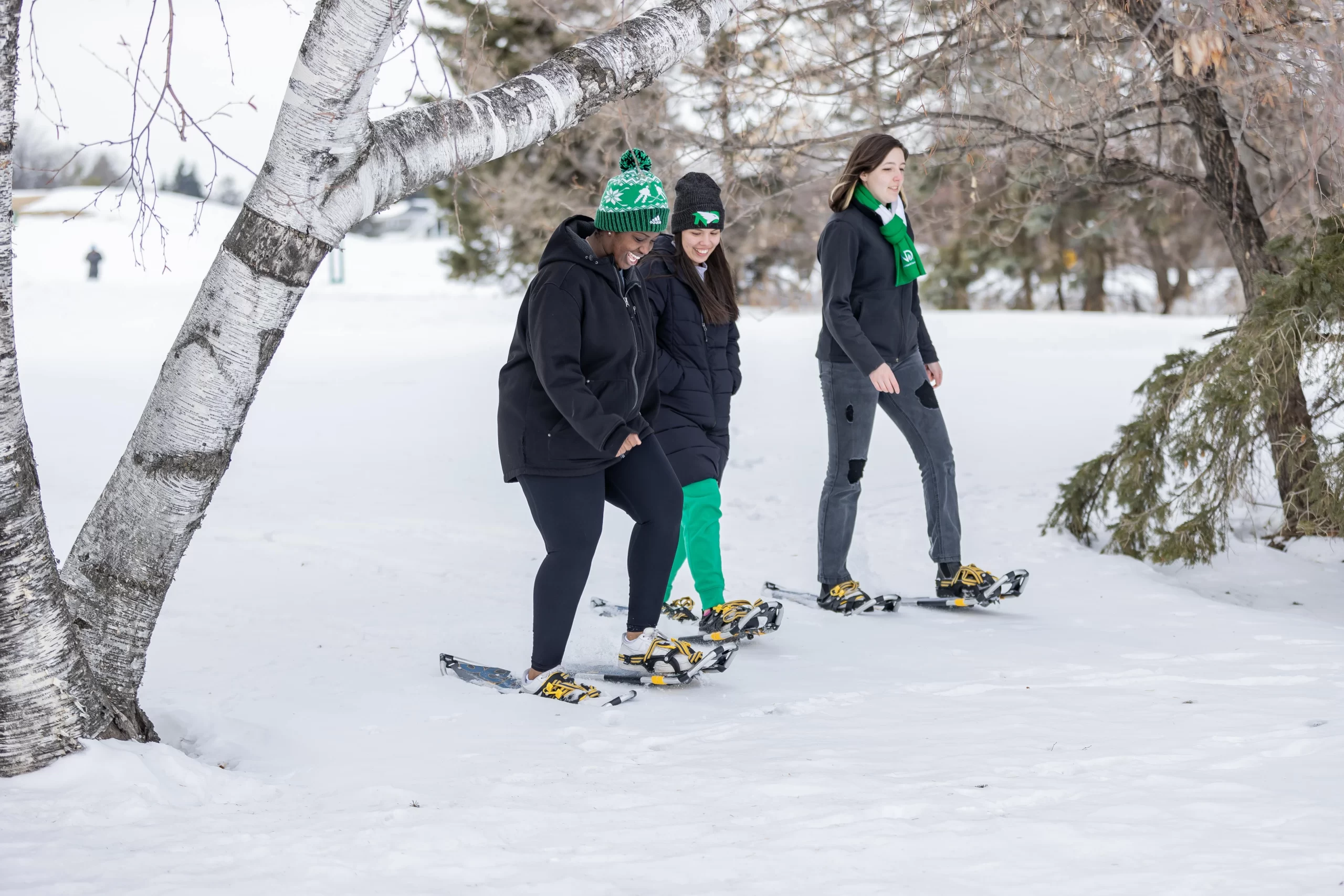 Gon snowshoeing Gon and her friends snowshoeing through trees dressed in winter gear.
