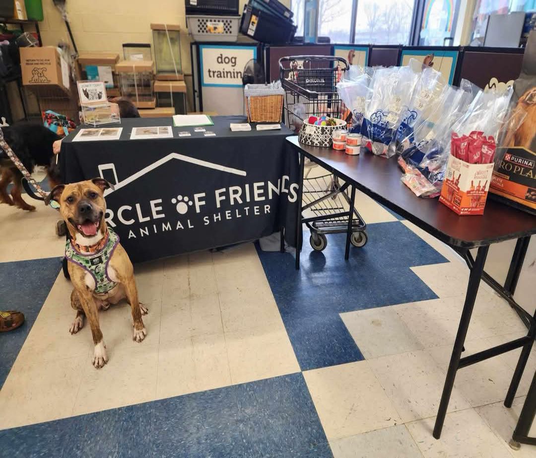 Circle of Friends photo Circle of Friends animal shelter popup where they have a cute pup posing for the camera and lots of goodie bags for attendees.