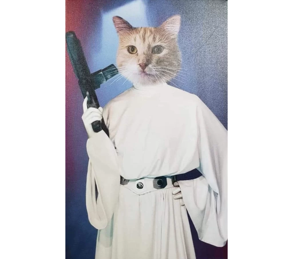 Princess Leia Poster Author Daves Cat Princess Leia in all her glory photoshopped onto an image of her namesake.