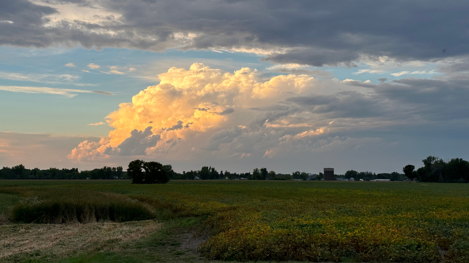 Sunset photo over a field An early sunset photo over a field outside Grand Forks with the clouds rolling in. The sunset is bouncing off the clouds.