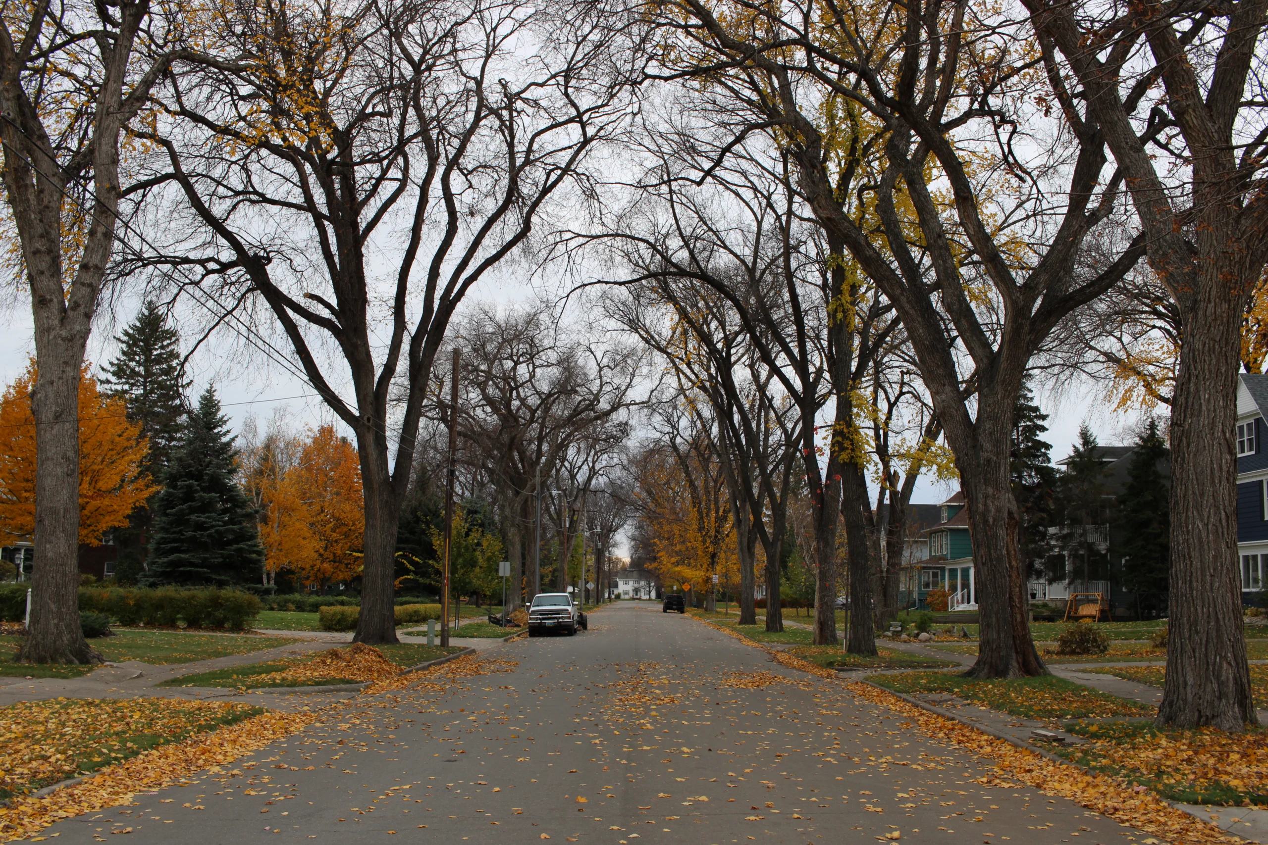 Southside Neighborhood Photo Southside Neighborhood Fall Photo