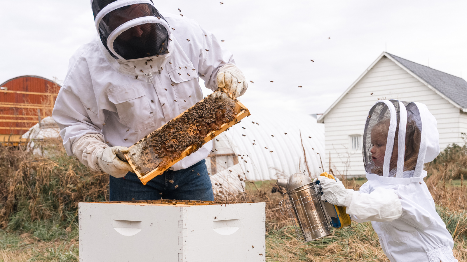 Beekeeping with kids Beekeeper adult and child working on the hive together!