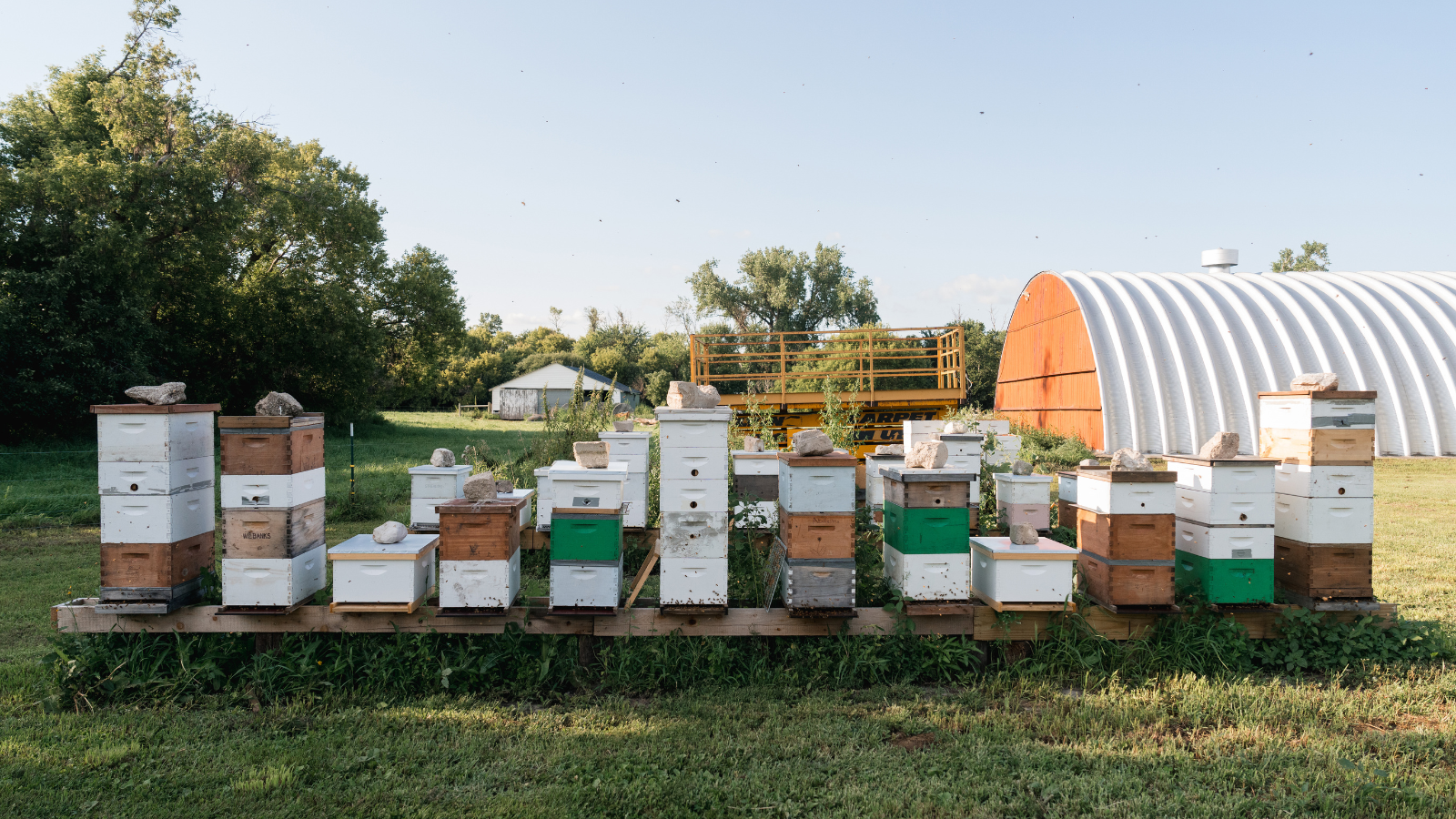 PastureND Hives PastureND photo of their bee hives
