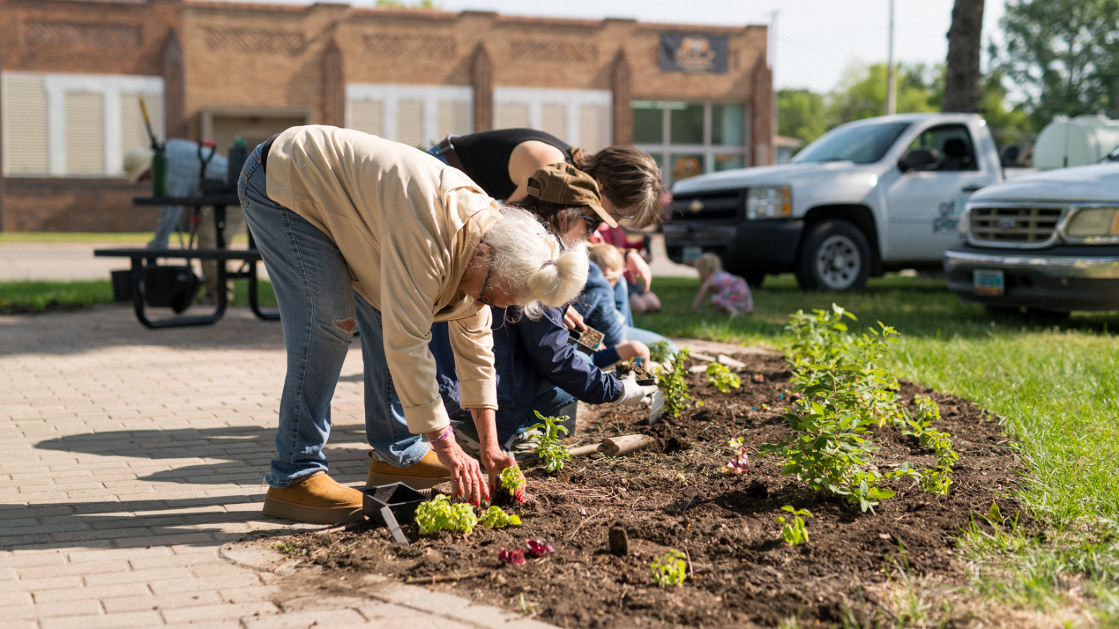 Skidmore Park Planting Community Volunteers work on planting around a path at Skidmore Park in Grand Forks