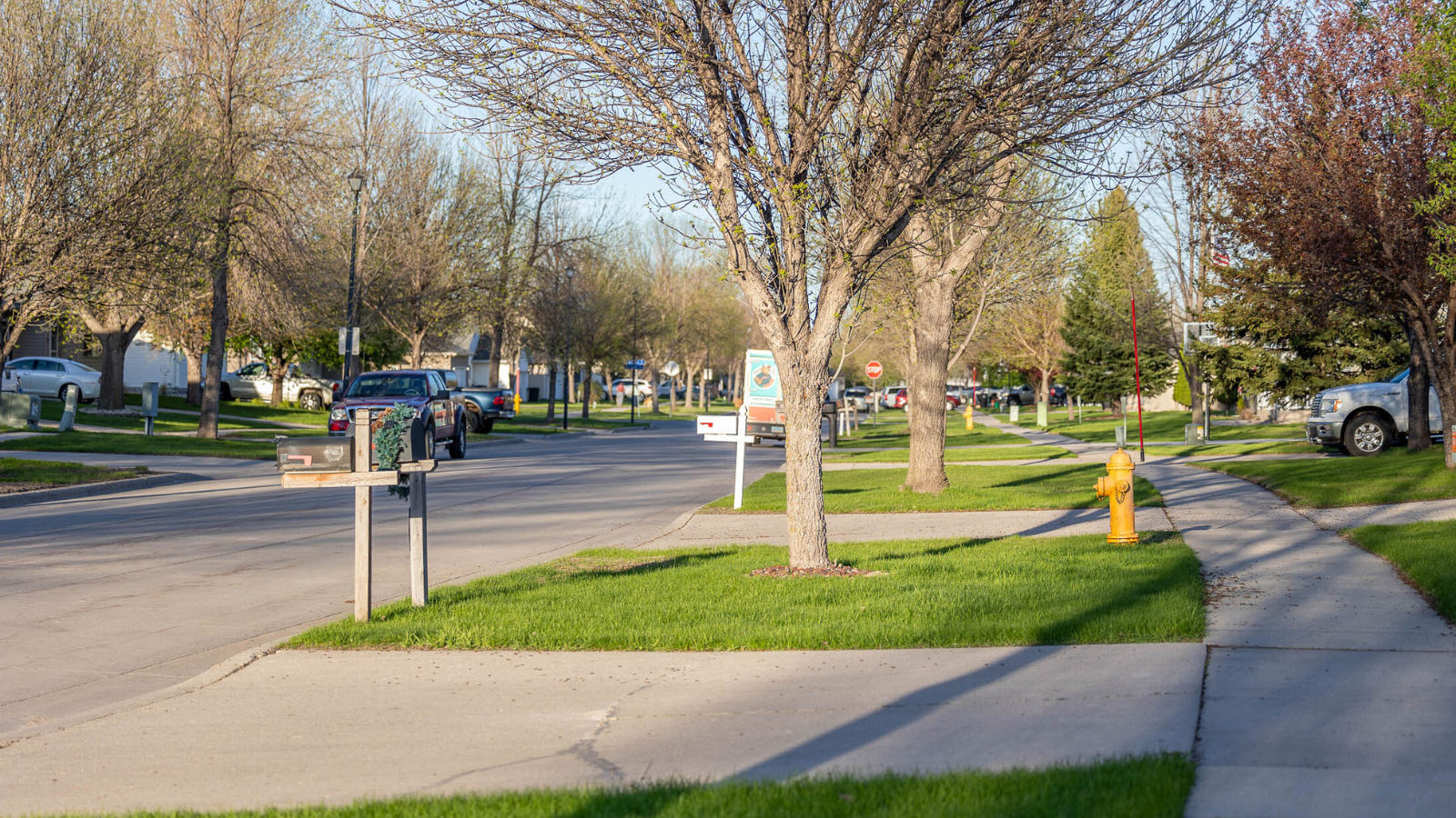Neighborhood in Spring Spring time neighborhood photo from the sidewalk