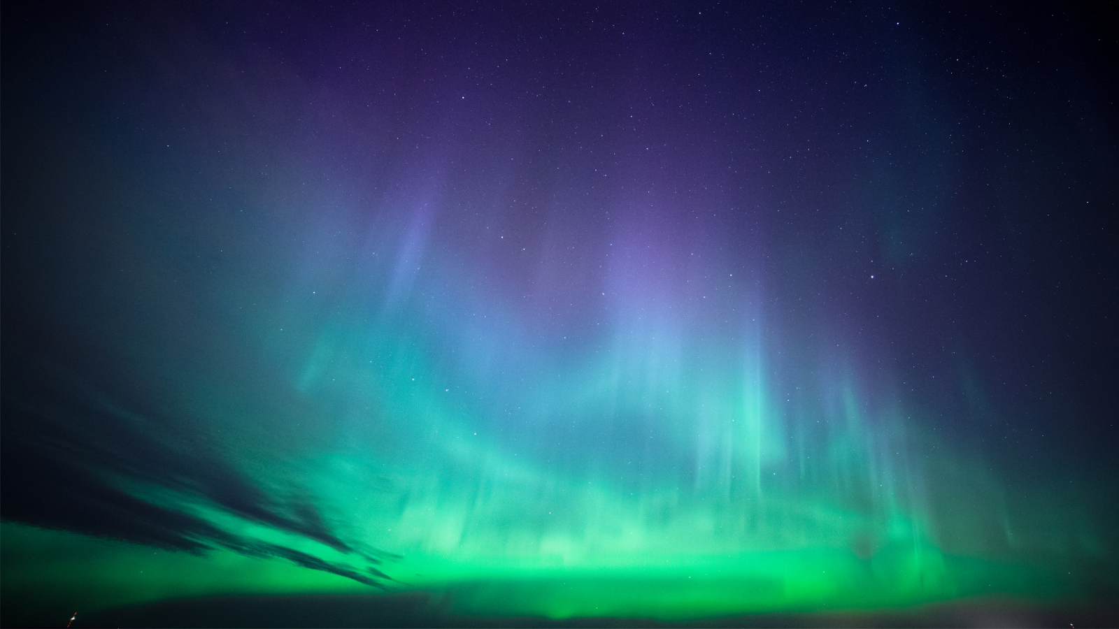 Purple, Blue, and Green ombre Northern Lights Purple, blue, and green ombre northern lights found in the Grand Forks Region last summer!