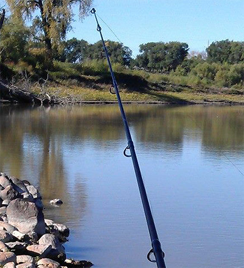 Shore Fishing Featured Image