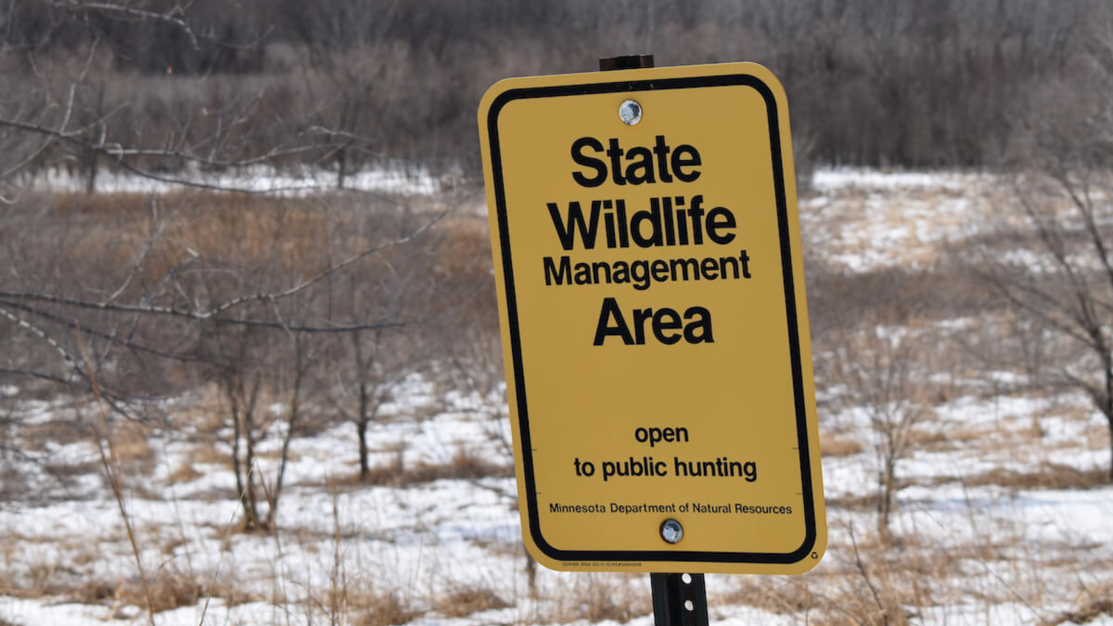 Wildlife Management Sign Public Land State Wildlife Management Yellow Sign