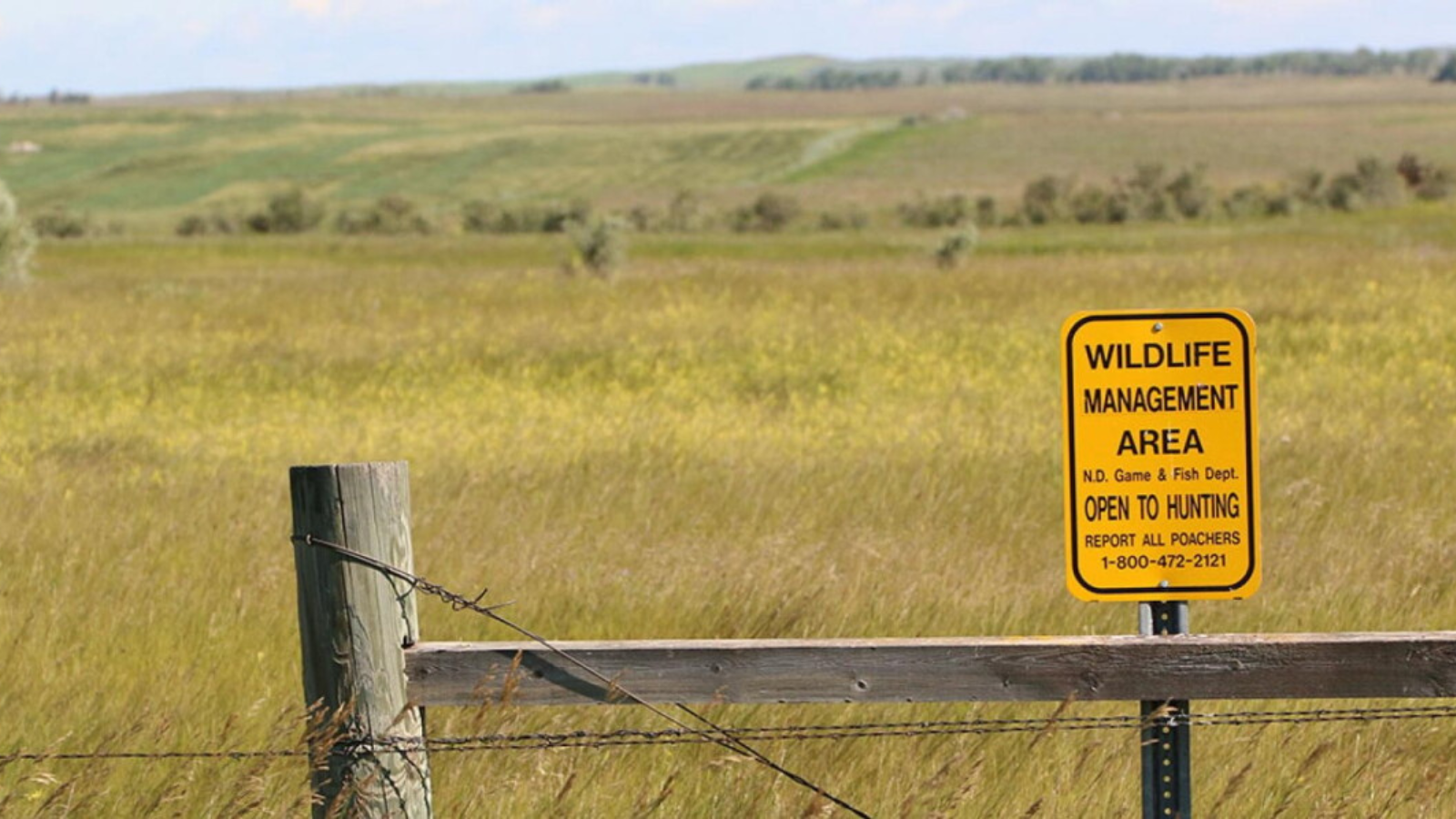 Public Land Field Public Land Sign Overlooking a Field