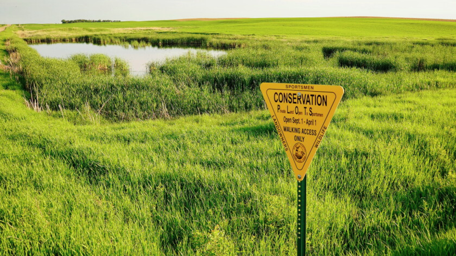 Marshy Pond Public Land Photo Public Land Sign overlooking a marshy pond